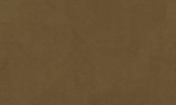 EGOIST 0.7х1 мини 1