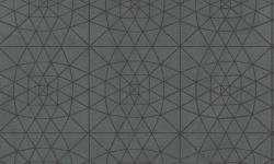 EGOIST 0.7х1 мини 1