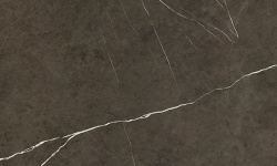 APAVISA PIETRA GREY POLISHED 119.3х119.3 G-3459 мини 1