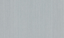 WILD 0.53х10.05 мини 1