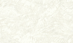 ESSENCE 0.52х10.05 мини 1