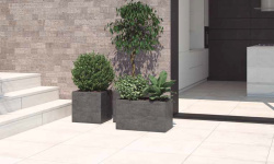 MAYOR CEMENTS SNOW PELDANO RECTO 33х120 M-739 мини 3 2