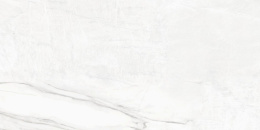 COLORKER DA VINCI WHITE POLISHED 60х120 M-79