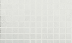 VIDREPUR ARTS ANTARTICA (2.5Х2.5) 31.5х31.5 мини 1