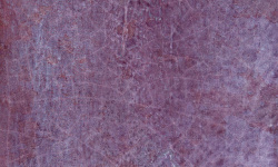 HARMONY DYROY AUBERGINE 10х10 Q-20 мини 3 2