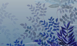 TRIBUTE 1.27х3 мини 1