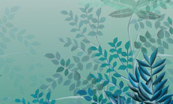 TRIBUTE 1.27х3 мини 1