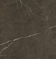 APAVISA PIETRA GREY POLISHED 119.3х119.3 G-3459