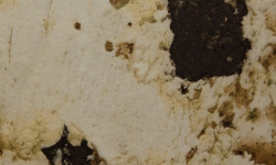 PORCELANOSA XTONE ALPINUS WHITE TEXTURE 160х320x0.6 G-1054 мини 3 5