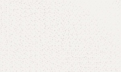 MIRAGE BLANC TA 01 IDRO RAIN 50х120x0.85 мини 1