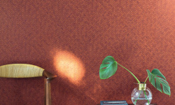 WILD 0.53х10.05 мини 3 2