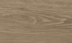 MIRAGE CEDRO OU 07 SP SQ 20х120x9 мини 1