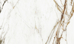 PORCELANOSA XLIGHT PAONAZZO BIONDO SILK 120х120х6 G-2531 мини 3 3