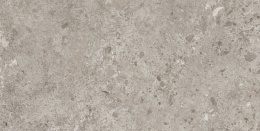 GRESPANIA BIERZO GRIS SEDA 60х120