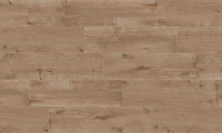 MAYOR AMAZONIA CANELA OUT 30х120 M-799 мини 1