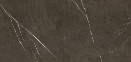 APAVISA PIETRA GREY POLISHED 119.3х260 G-3459