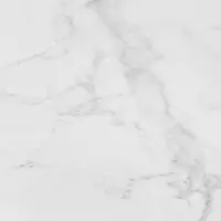 керамогранит PORCELANOSA CARRARA BLANCO NATURAL L 59.6x59.6 G-347