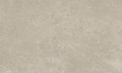 MIRAGE SAFARI RS 02 SP SQ 60х119.7x0.8 мини 1