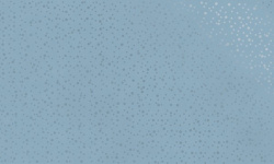 MIRAGE ETHEREAL TA 05 IDRO RAIN 50х120x0.85 мини 1