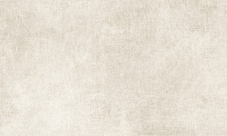 PORCELANOSA GASA BONE 45х120 G-270 мини 1