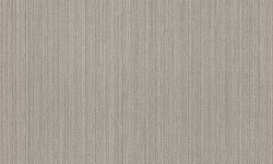 WILD 0.53х10.05 мини 1