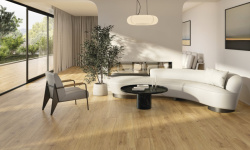 PERONDA VERBIER HONEY AS 24х151x0.9 BN-121 мини 3 6