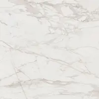 керамогранит PORCELANOSA MASSA PULIDO L 120х120 G-395