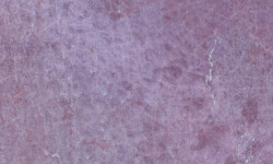 HARMONY DYROY AUBERGINE 6.5х20 Q-21 мини 3 3