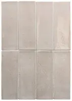 керамогранит EQUIPE MIYAKO MORCHELLA GLOSS 5х15 EQ-10D