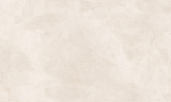 PORCELANOSA XLIGHT SANTORINI BONE NATURE 120х270 G-2511 мини 3 2