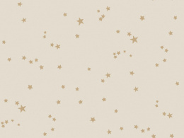 WHIMSICAL 0,52х10,05