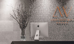 PORCELANOSA IMAGE SILVER 59.6х150 G-276 мини 3 2