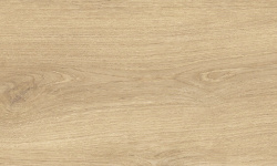 MUSEUM BLOOM HONEY SP 24х151x0.9 M-104 мини 3 2