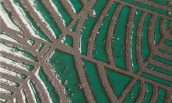 MUTINA SEGNO VERDE 120х120x0.9 мини 3 7