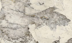 TERZADIMENSIONE PATAGONIA GOLD POLISHED 120х278х0.65 мини 1