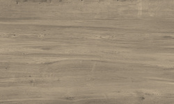APAVISA JUNOON MAPLE NATURAL 119.3х280 G-3391 мини 1