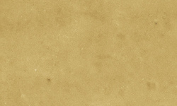 HARMONY SAMIRA GOLD 10х10 Q-73 мини 1