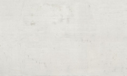 APAVISA CASSERO WHITE NATURAL 119.3х300х6 G-3381 мини 1