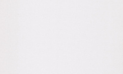 WILD 0.53х10.05 мини 1