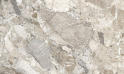 MUSEUM DREAMY MOCHA AS C/R 60х120x0.9 M-91 мини 1