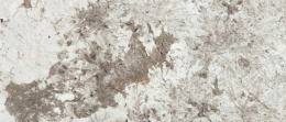APAVISA PATAGONIA GREY POLISHED 119.3х280 G-3459