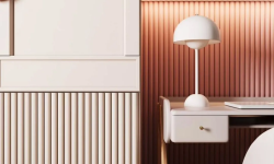 ORAC 3D ПАНЕЛЬ 248х17х2 000 мини 3 6