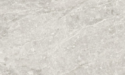 PORCELANOSA NOIR CALIZA 45х120 G-270 мини 1