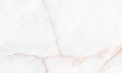 MUSEUM DAHLIA WHITE SP 33.3х100 M-96 мини 1