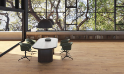 PERONDA VERBIER CHERRY AS C/R 24х151 BN-121 мини 3 5