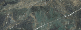MUSEUM SAVAGE GREEN ST 100х275x0.6 M-85