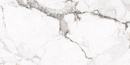 MUSEUM SUBLIME ICEBERG NT 60х120x0.9 M-101