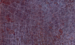 HARMONY DYROY AUBERGINE 10х10 Q-20 мини 3 4