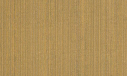 WILD 0.53х10.05 мини 1