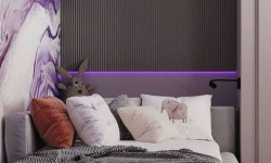 ORAC 3D ПАНЕЛЬ 250x13x2000 мини 3 5